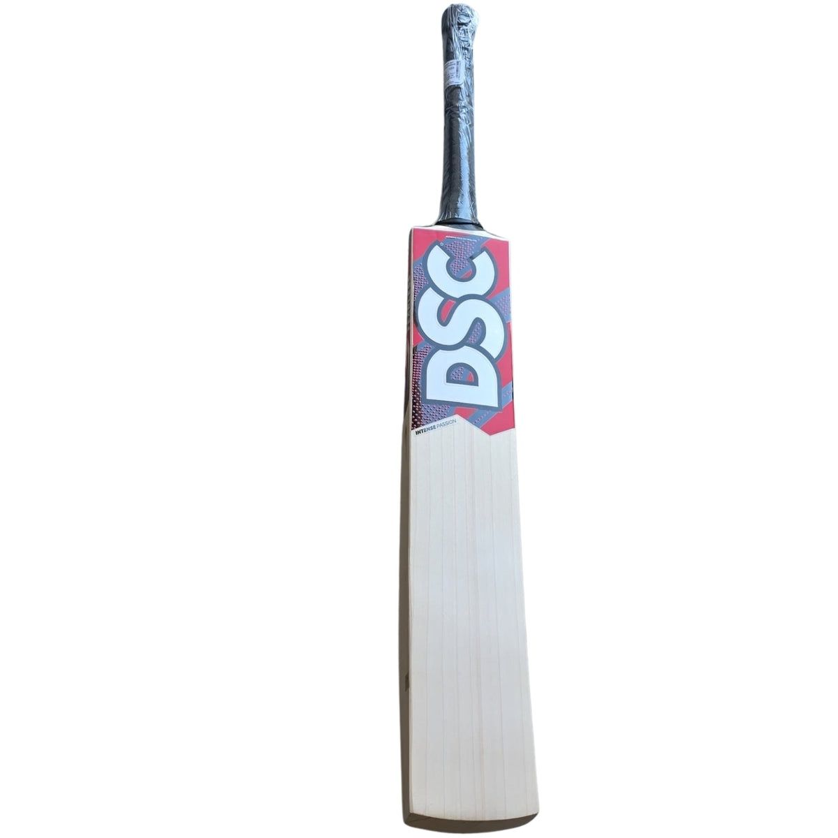 DSC Intense Passion English willow cricket bat, Short Handle adult size
