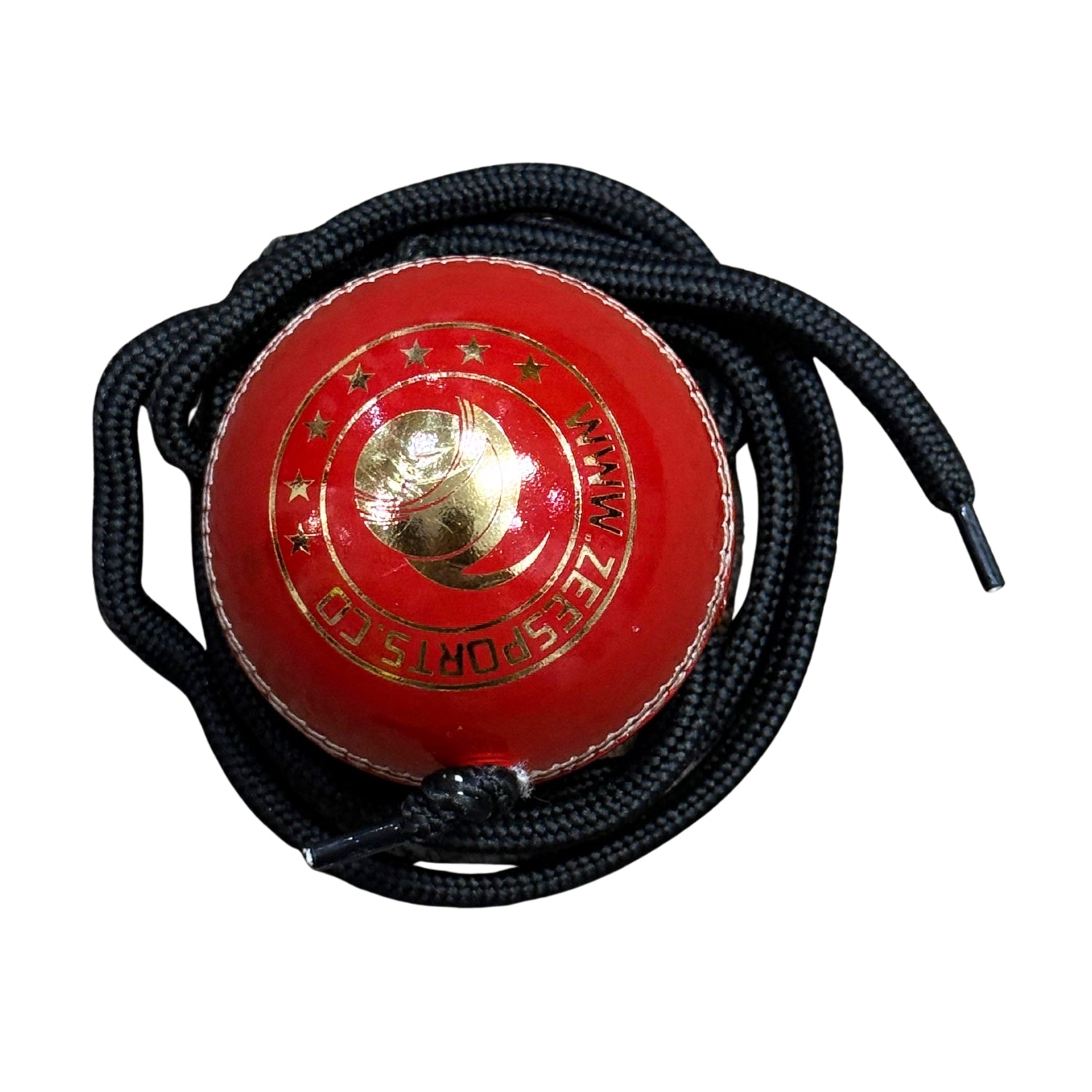 Zee Sports Cricket Hanging Training Ball