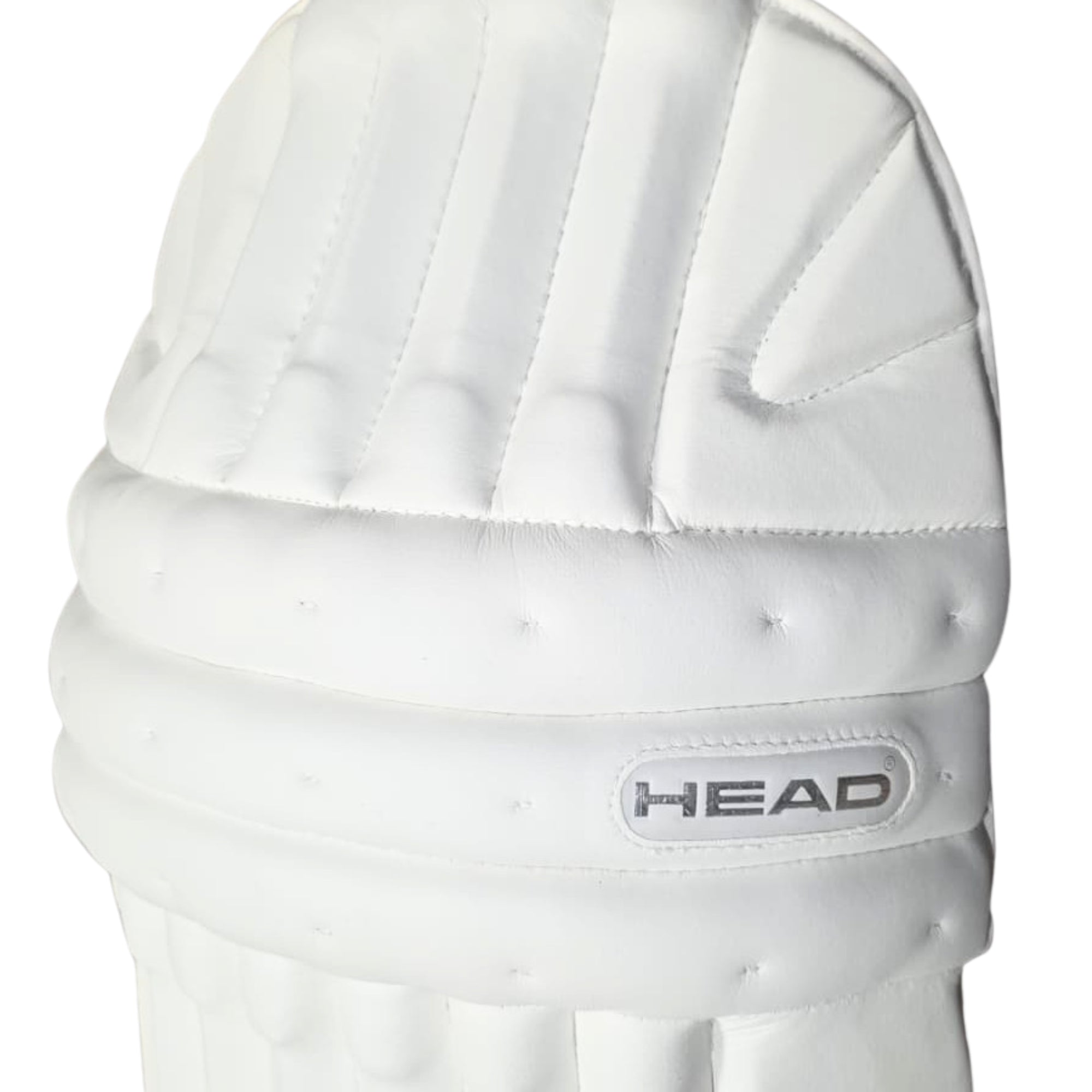 HEAD Batting Pads Challanger