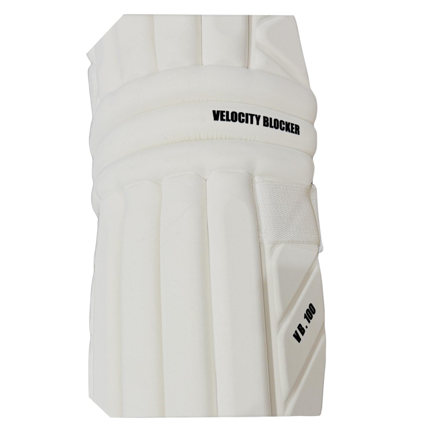 Zee Sports Batting Pads Double Strap - White