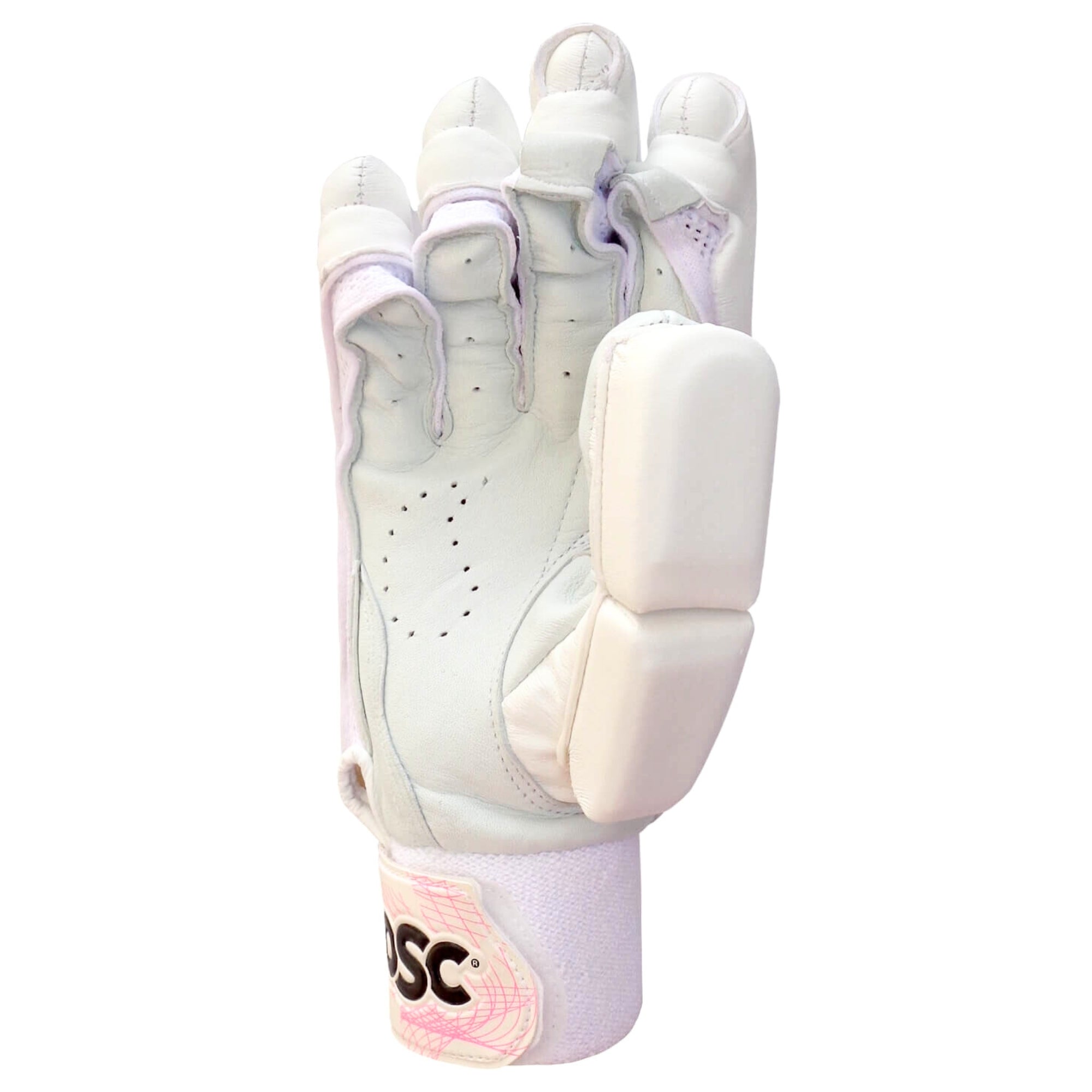 DSC Cricket Batting Gloves SN74 Player Edition