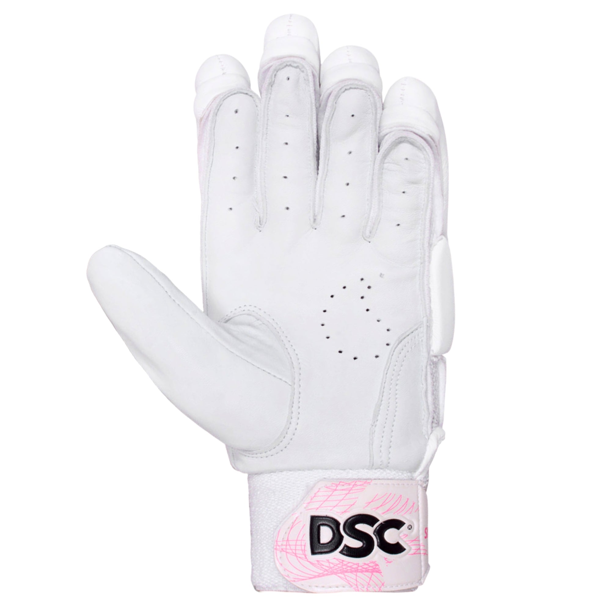 DSC Cricket Batting Gloves SN74 Player Edition