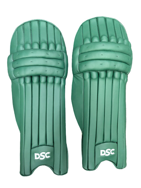 DSC Batting Pads Intense SHOC