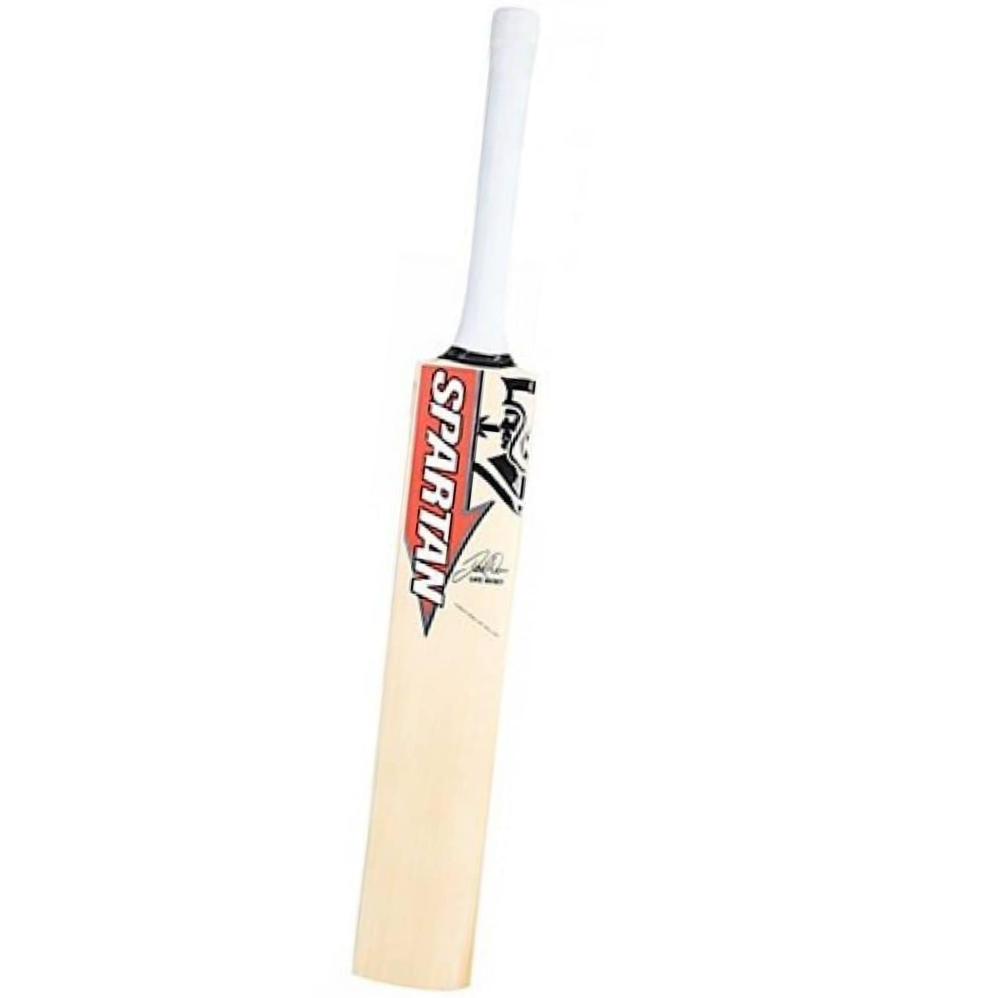 Spartan Cricket Bat Sikander DW-David-Warner-3000 English Willow Pink