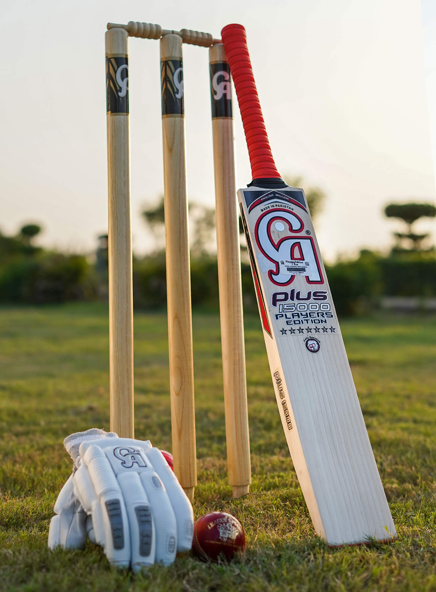 CA Cricket Bat Plus 15000 Players Edition 7-Stars 2024 Model SH