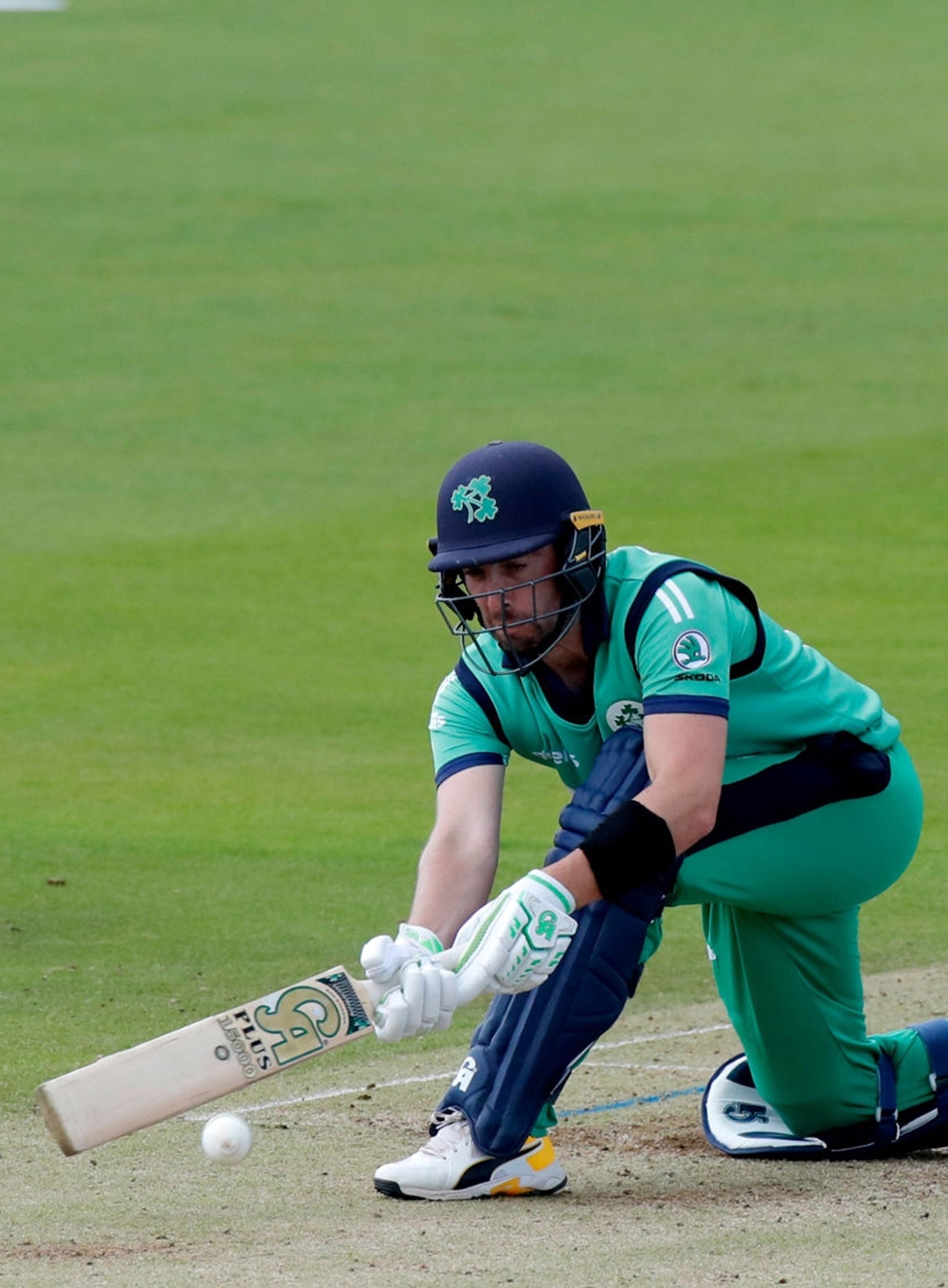 CA Cricket Bat Plus 15000 English Willow SH 2024 Model