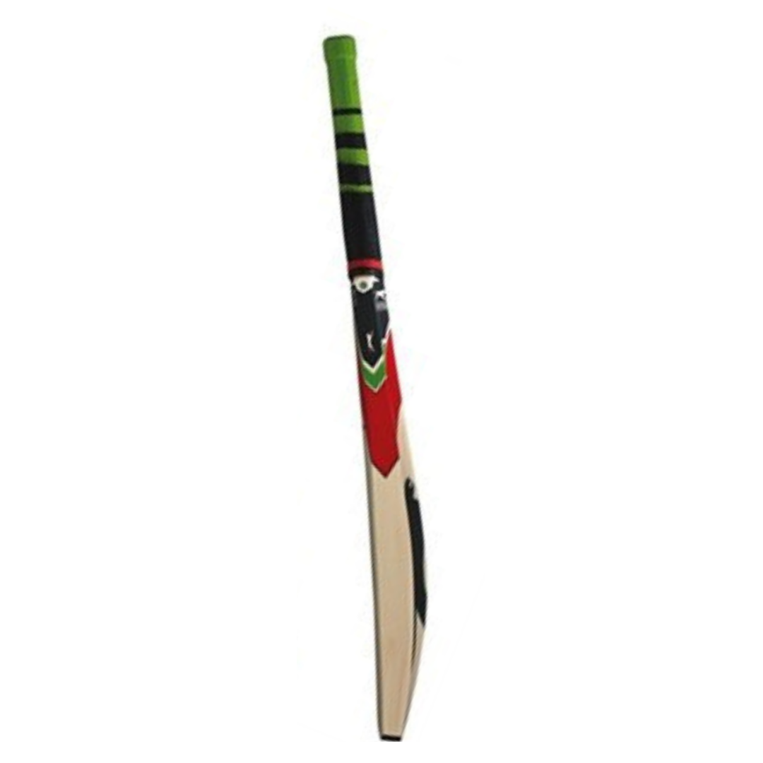 Slazenger Cricket Bat V600 Pro English Willow