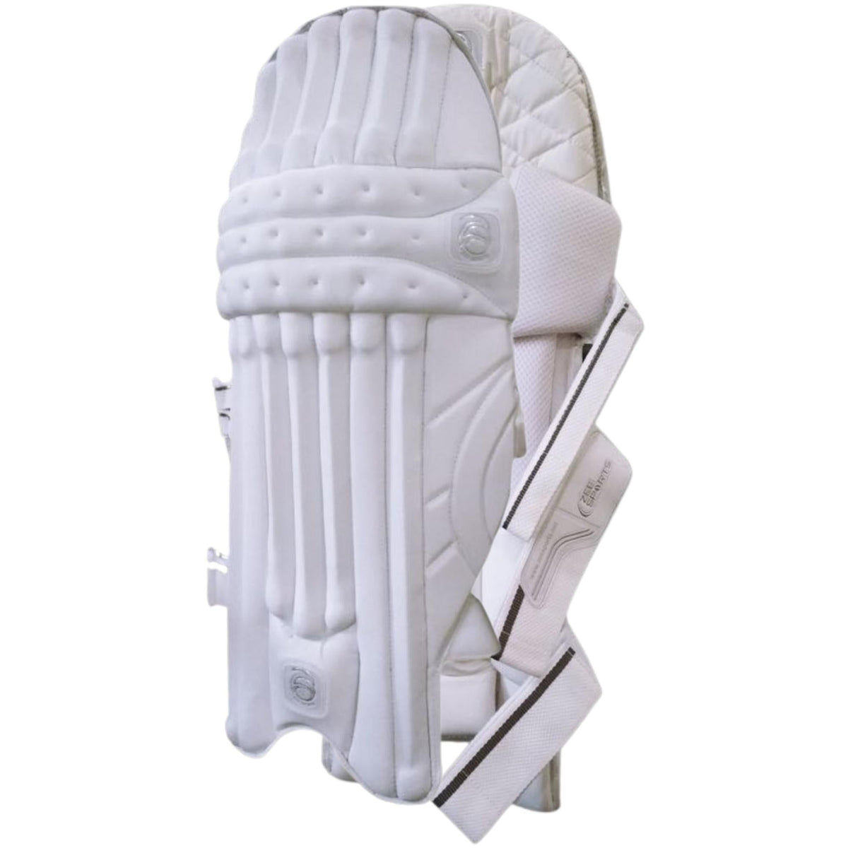 Zee Sports adult cricket batting pads, the part most often struck in an LBW