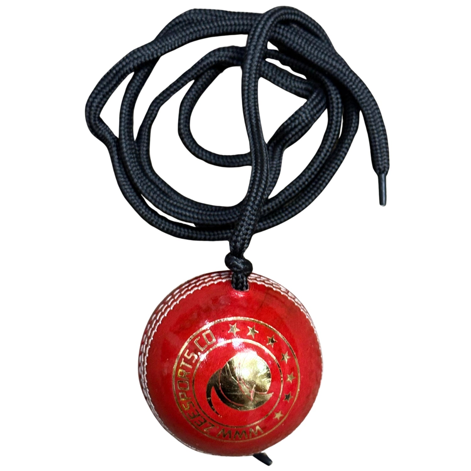 Zee Sports Cricket Hanging Training Ball