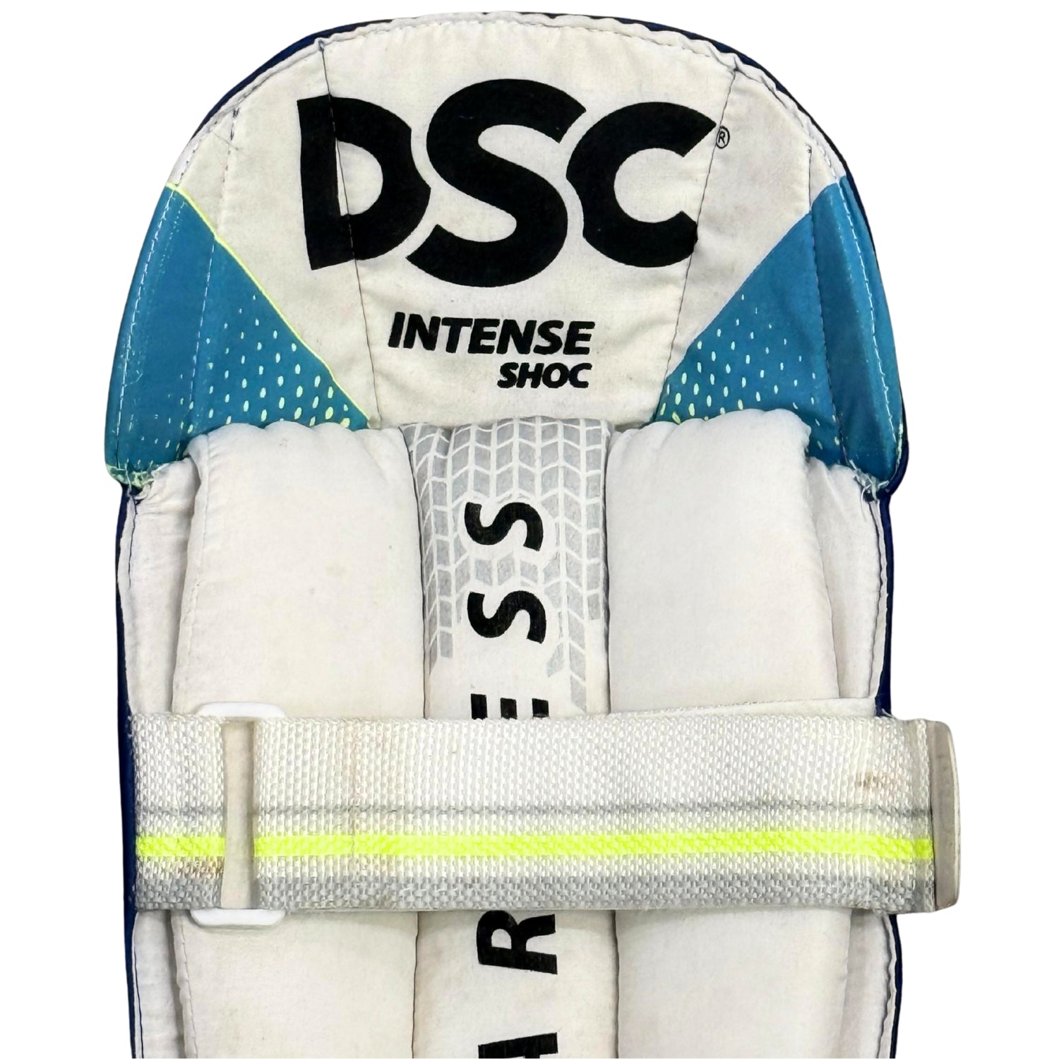 DSC Wicket Keeping Pads Intense Shoc Blue