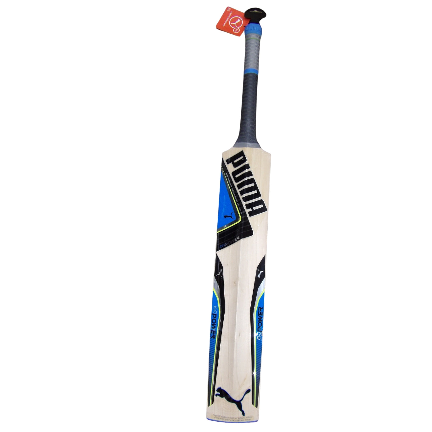 Puma Evo Power Cricket Bat | Blue | SH