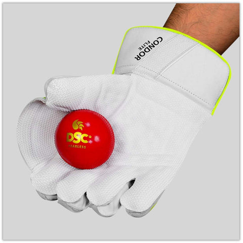 DSC Wicket Keeping Gloves Condor Flite