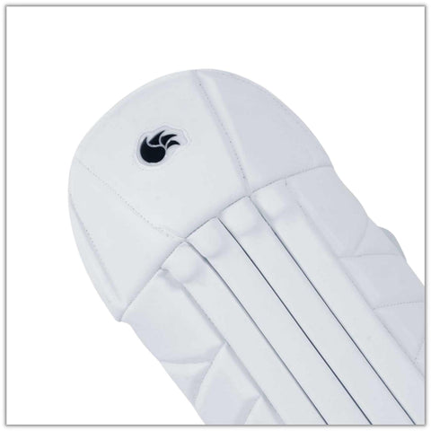 DSC Wicket Keeping Pads Intense Shoc