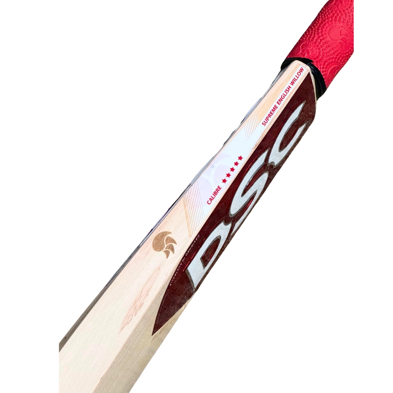 DSC Cricket Bat Flip Rory Burn Player Edition English Willow SH