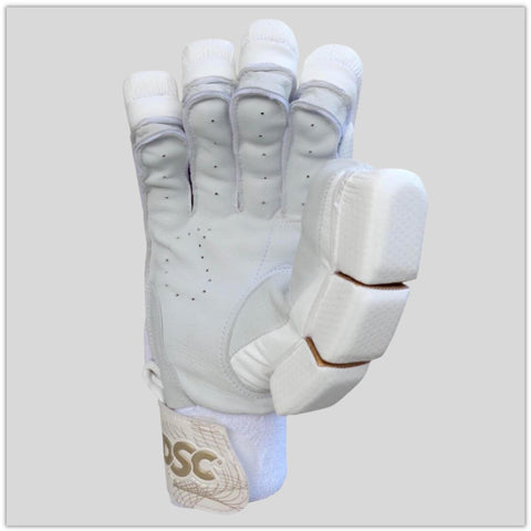 DSC Batting Gloves Eureka Prospect