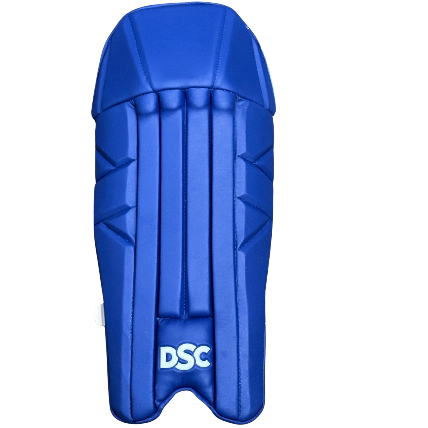 DSC Wicket Keeping Pads Intense Shoc Blue