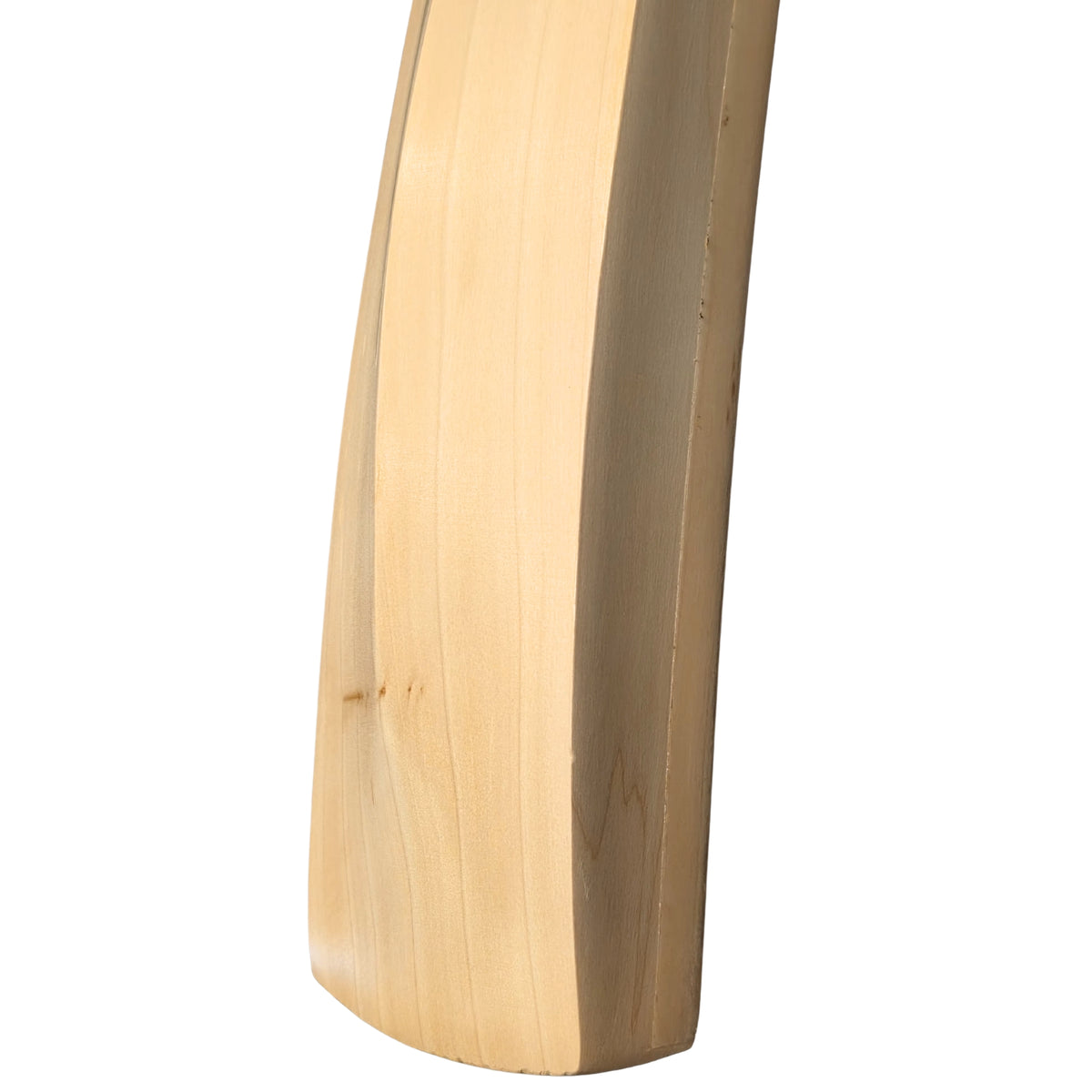 DSC Cricket Bat Blak 65 English Willow SH
