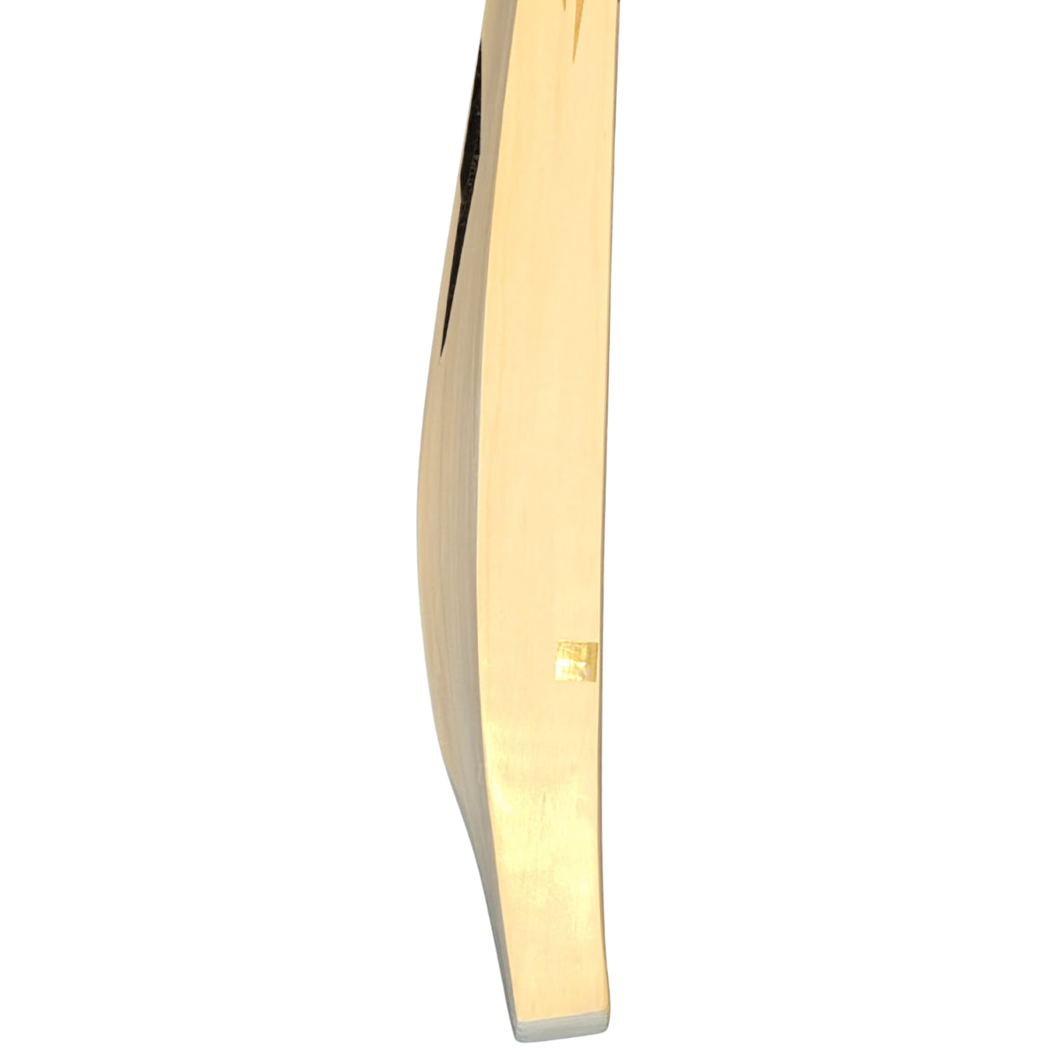 DSC Cricket Bat Blak 222 English Willow SH