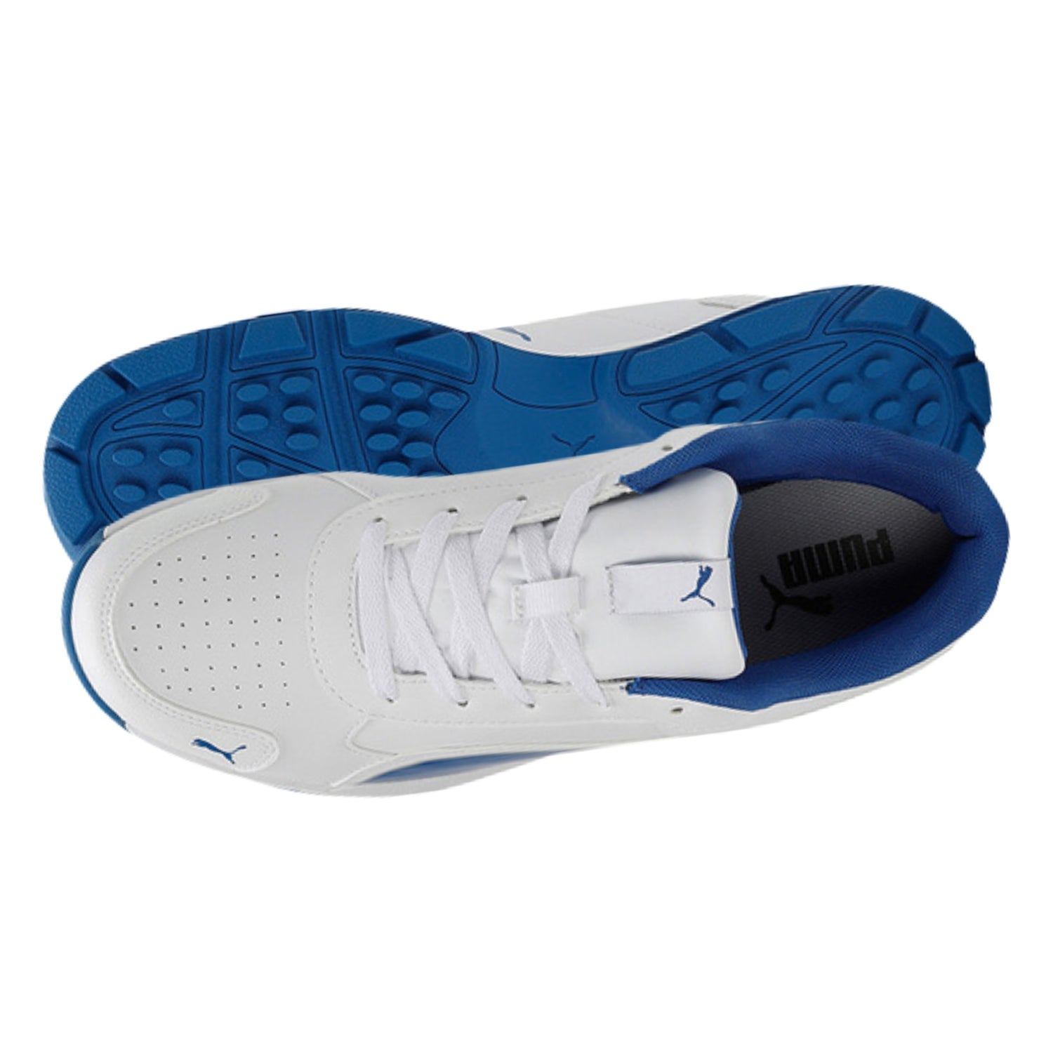Puma Cricket Shoes, Model Classic Cat, White/Blue
