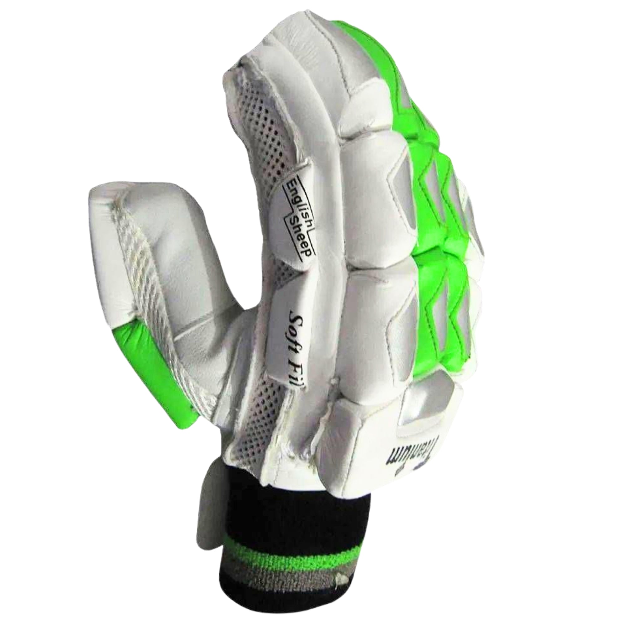 BDM Cricket Batting Gloves Titanium RH