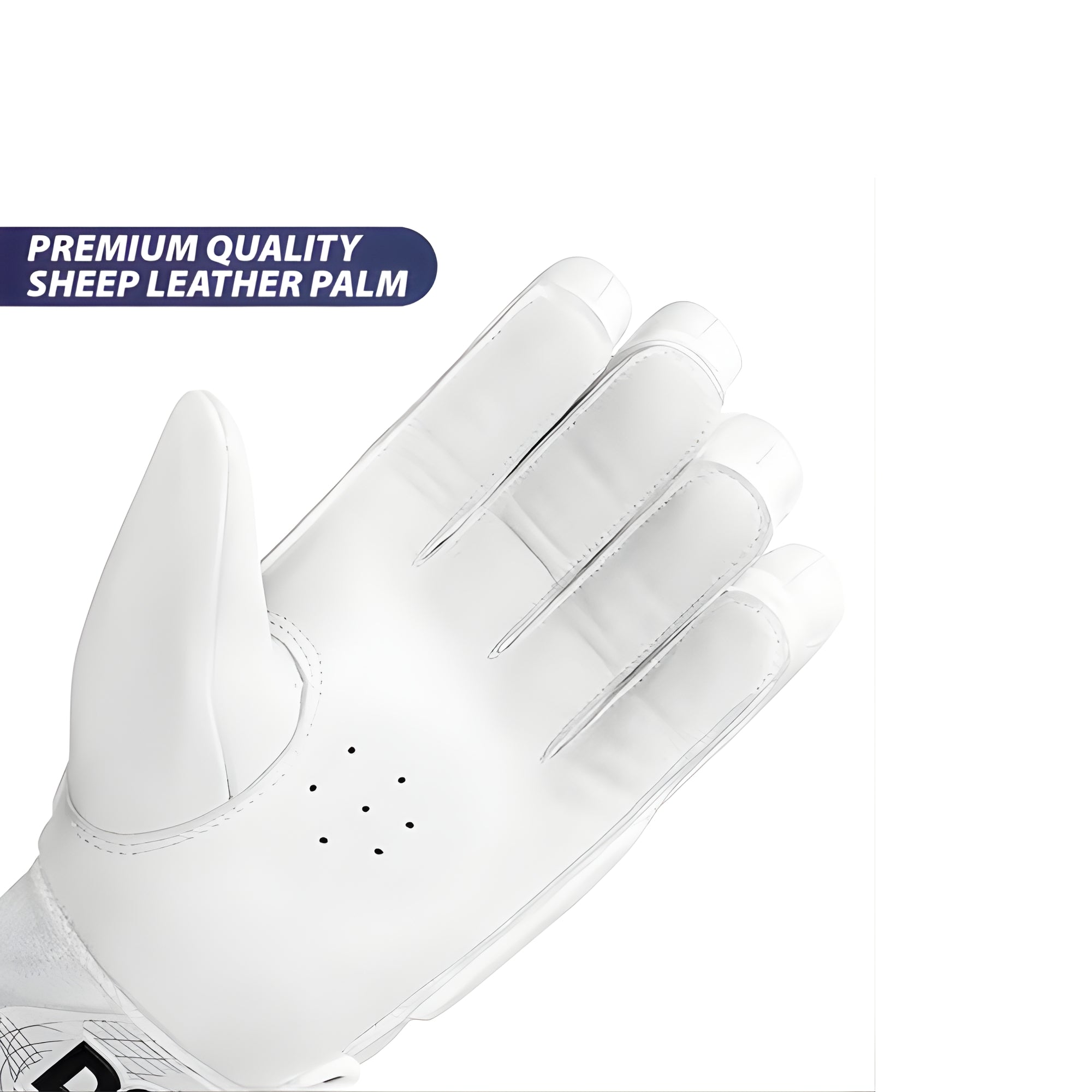 DSC Cricket Batting Gloves Condor Surge 2.0 Size