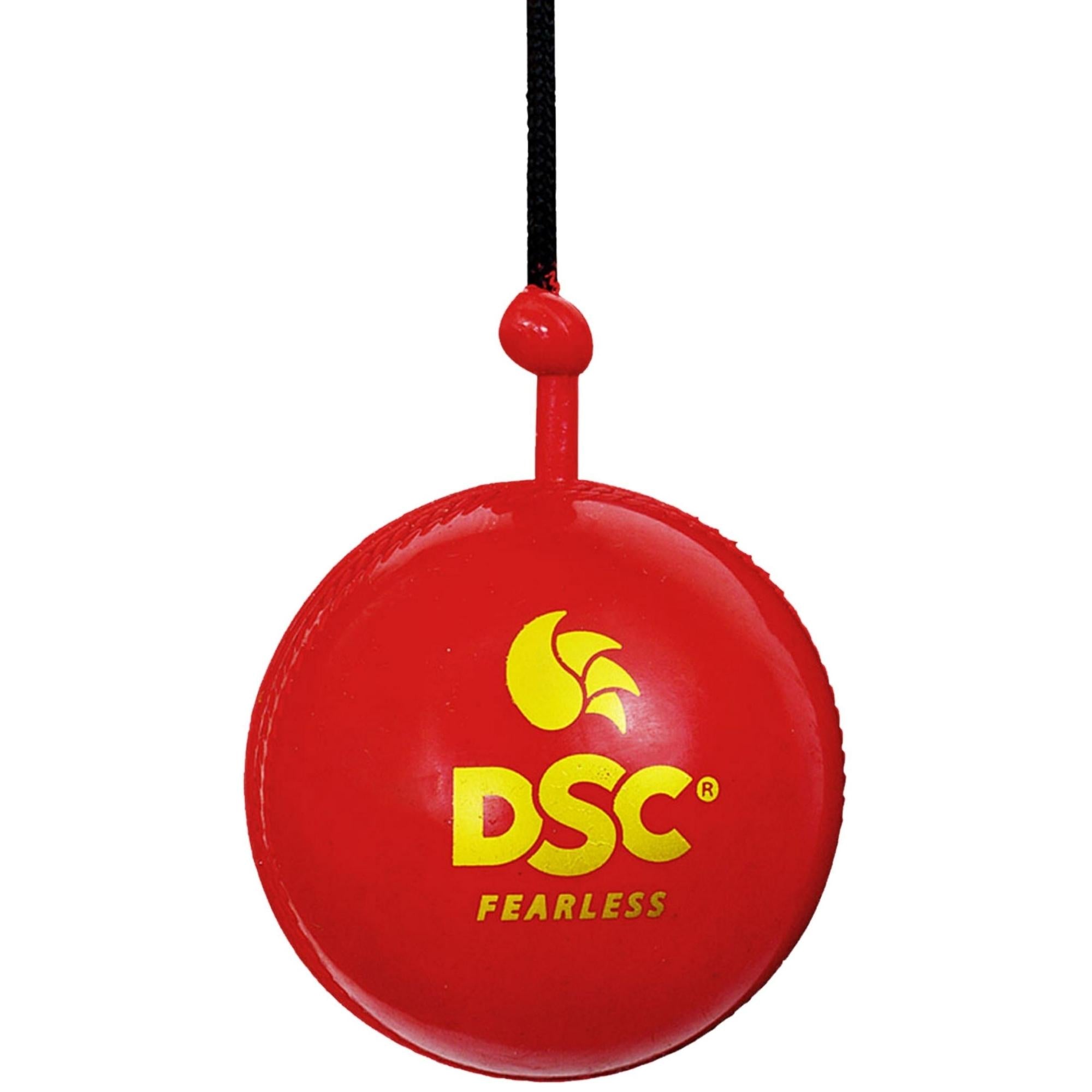 DSC Synthetic Ball, Hanging & Practice Synthetic Cricket Ball