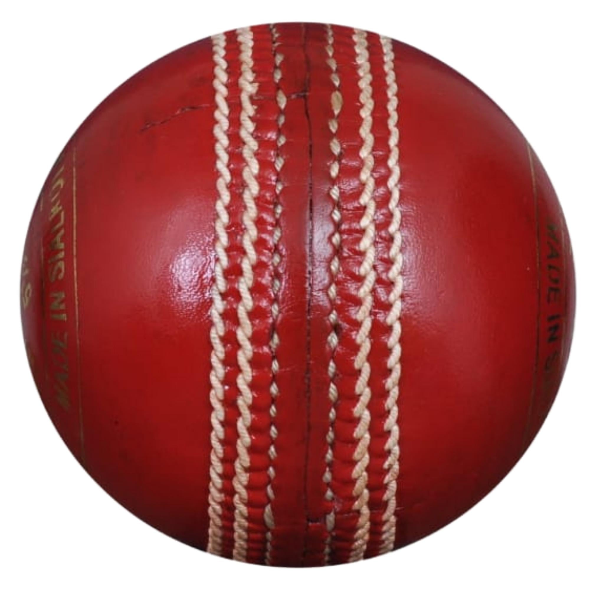 Zee Sports Cricket Balls 5 Star Premier League WHITE